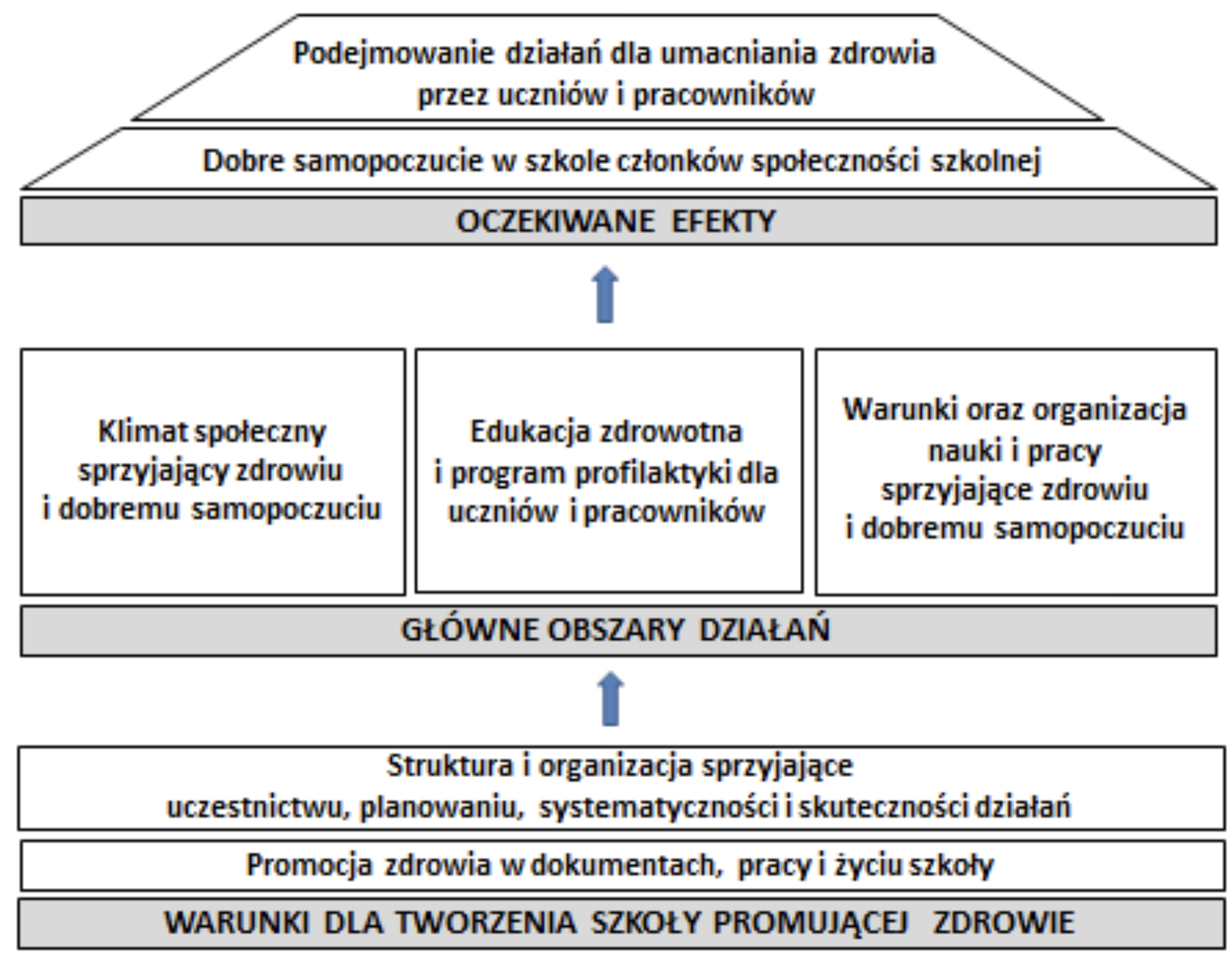 promocja_zdrowia_schemat